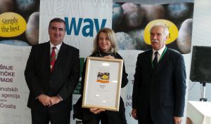 Dobitnici nagrade Simply the best za 2015. godinu